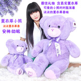 薰衣草小熊抱抱熊香草大熊紫色毛绒玩具公仔正品礼物送女友泰迪熊