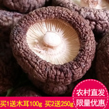 野生干香菇菌农家自产椴木小香菇干货农产品土特产特级食用菌500g