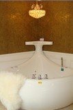五一特价正品浪鲸（ssww）卫浴 巴度系列按摩浴缸WHALE浪鲸形象缸