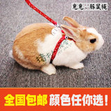 猪夫人 兔子刺猬垂耳兔牵引外带绳牵引带 遛兔绳溜弯绳子用品玩具