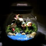 包邮苔藓微景观生态瓶 带灯创意植物办公室绿植diy迷你盆栽情侣