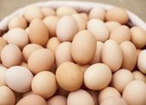 30枚土鸡蛋鹊山鸡种蛋土鸡蛋种鸡蛋鸡苗受精种蛋