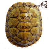 巴西彩龟大小乌龟活体红耳龟宠物水陆招财龟一只7-8厘米 批发优惠