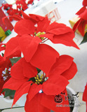 高档仿真圣诞花绒布花 五朵一品红带花盆 圣诞树装饰假花 塑料花