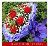 母亲节鲜花11朵康乃馨鲜花束上海同城速递订花配送送货上门