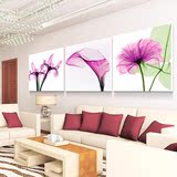 圣蓝诺现代装饰画简约抽象透明花 客厅无框画冰晶挂画卧室壁画