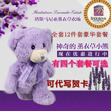薰衣草小熊毛绒玩具公仔娃娃抱抱熊紫色泰迪熊生日礼物包邮
