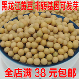 黑龙江笨黄豆大豆农家自产非转基因发豆芽打豆浆专用250g满38包邮
