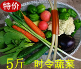 北京密云新鲜生鲜时令蔬菜配送蔬果礼包套餐现摘有机绿色农家