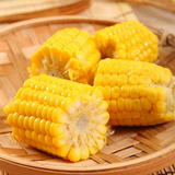 东北黑龙江非转基因 有机水果玉米 甜玉米 开袋即食 2袋包邮