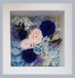 蓝白玫瑰永生花实木像框全国鲜花速递父亲节祝福生日礼物促销包邮