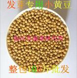 非转基因黄豆 4斤20元包邮特价 有机小大豆子 自种发芽磨浆豆腐