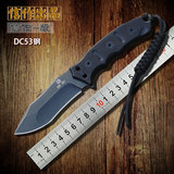信作正品 高硬度DC53钢刀 战术小直刀高硬度军刀 野外求生户外刀