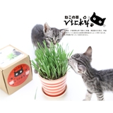 VICKY北海道猫草正装带花盘+种子 去除毛球环保栽种猫咪猫草包邮