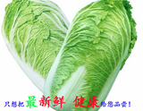 新鲜滋补胶州大白菜绿色有机无公害纯天然娃娃菜农家自种鲜嫩蔬菜