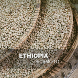 新鲜下单烘焙 埃塞俄比亚 西达摩水洗G1 精品咖啡豆粉 Guji产区