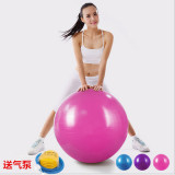 加厚瑜伽球 健身球瘦身瑜伽球孕妇分娩球弹力球厂家直销特价包邮