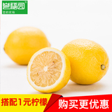 老顾客回馈【誉福园】安岳柠檬6个装 新鲜水果黄柠檬 独立包装