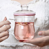 茶杯单层玻璃杯水杯有盖喝水杯子带盖口杯过滤带把花茶杯女士创意