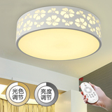 简约现代宜家圆形LED吸顶灯客厅卧室餐厅书房温馨灯饰遥控玄关灯