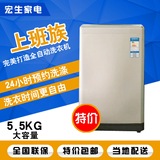 TCL XQB55-36SP  亮灰色 5.5公斤 全自动洗衣机 全新正品