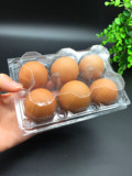 6枚 高扣 鸭鸡蛋 托盘吸塑蛋托塑料蛋托包装盒蛋盒子