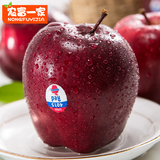 【2016新货】美国进口红蛇果 12个苹果新鲜水果平安果包邮