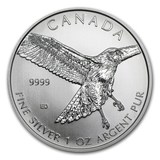 2015 加拿大猛禽系列之三 红尾鹰银币 1盎司 Red Tailed Hawk