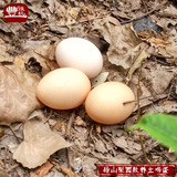 丰维机梨园散养土鸡蛋【20枚】新鲜无添加草鸡蛋农家蛋宝宝辅食