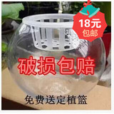 批发玻璃圆球花瓶 特大 花卉植物 鱼缸花盆水培球形透明 圆形玻璃