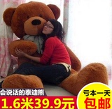 泰迪熊毛绒玩具熊1.6米大号熊猫公仔布娃娃1.8米抱抱熊生日礼物女