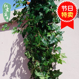 仿真常春藤仿真植物墙配材高档绿色植物壁挂仿真藤蔓叶子绿植绿萝