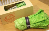 创意蔬菜雨伞 出口UK原单 大白菜伞 英伦包装伞 东北大白菜伞新鲜