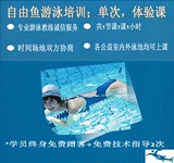 深圳游泳培训自由鱼游泳培训体验课
