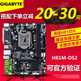 Gigabyte/技嘉 GA-H81M-DS2 全固态电容H81台式机电脑主板 正品