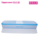 特百惠1.3L饺子盒塑料收纳盒冰箱冷冻保鲜盒长方形速冻饺子密封盒