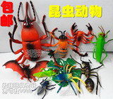 仿真昆虫多足节肢动物模型套装环保塑胶五毒动物儿童玩具早教认知