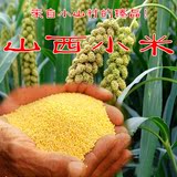 山西特产农家黄小米食用小米五谷杂粮月子米真空向家庄农产品