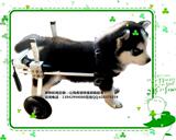 残疾犬代步车/瘫痪狗轮椅/宠物后肢代步车/小型宠物轮椅/狗拉车XS