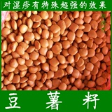 豆薯籽 凉薯地瓜种子 对治湿疹有特殊效果 做种子或药用 500克