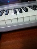 M Audio 88ES 半配重MIDI键盘 编曲 二手 送琴架 转卖 闲置 低价