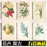 花卉海报 复古怀旧  油画布花朵植物欧式现代简约客厅餐厅装饰画