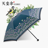 天堂伞遮太阳伞晴雨伞便轻蕾丝边彩胶防紫外线折叠防晒伞女