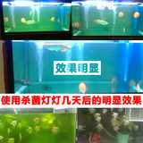 乾盛鱼缸水族箱超短型UV杀菌灯鱼池过滤紫外线杀菌消毒除藻潜水灯