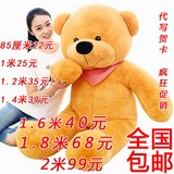 毛绒玩具泰迪熊布娃娃抱枕公仔大号抱抱熊大熊生日礼物女1.6米1.8