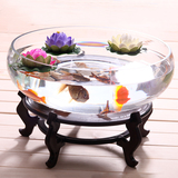 包邮大号创意桌面透明超白水培绿萝铜钱草水仙盆小型玻璃圆形鱼缸