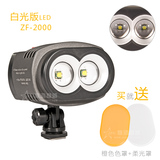致峰ZF-2000白光摄像灯 LED外景补光灯新闻拍录像灯 超200W摄影灯