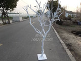 干树枝 树干 干枝树枝装饰 枯枝白树枝树杆 仿真树枝假树枝 树枝