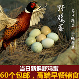 纯天然野鸡蛋60枚包邮七彩山鸡蛋农家散养新鲜土鸡蛋自养柴草鸡蛋