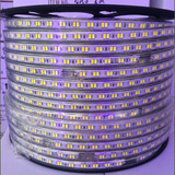 LED双色高亮灯带变色藏光可调光调色防水高压软灯带家装暗槽藏光